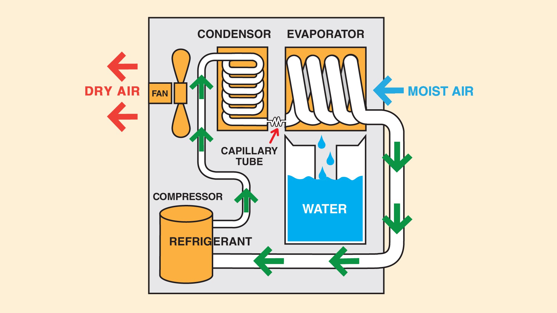 Diagram of a dehumidifier that is used to stop basement moisture problems.