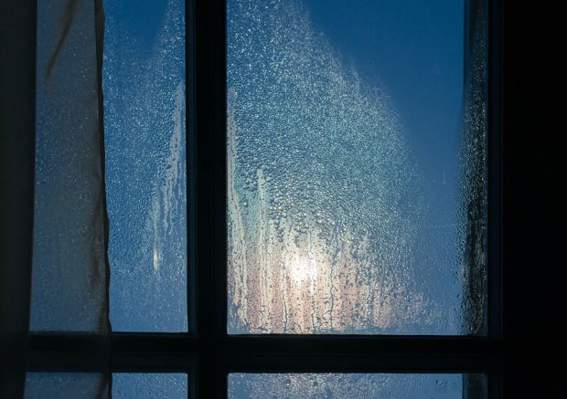 Condensation forming on windows of a house in the Winter.