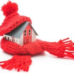 House bundled up in Winter scarf and hat to provide insulation.