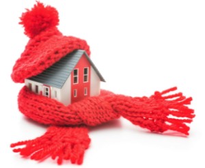 House bundled up in Winter scarf and hat to provide insulation.
