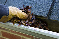 Person clearing leaves out from a house's eavestroughs as part of a fall home maintenance process.